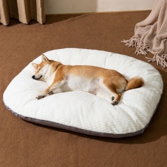 PET ������ ���߷� �漮