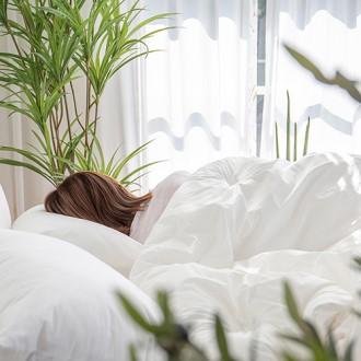 �˷����ɾ� 60�� ���е� �����̺Ҽ�Ʈ, �������� ���е� ����� �̺Ҽ�Ʈ