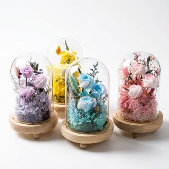 �����ø� �� LED ��������� �ö��