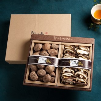 ������ ���� ǥ�� ���� ������Ʈ (���� 2�� ��Ʈ) 